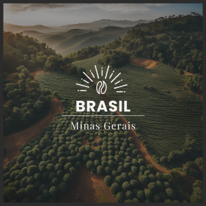 MINAS GERAIS - BRASIL
