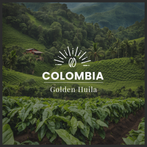 GOLDEN HUILA- COLOMBIA