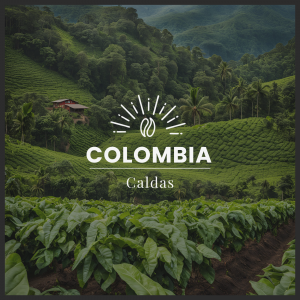 CALDAS - COLOMBIA