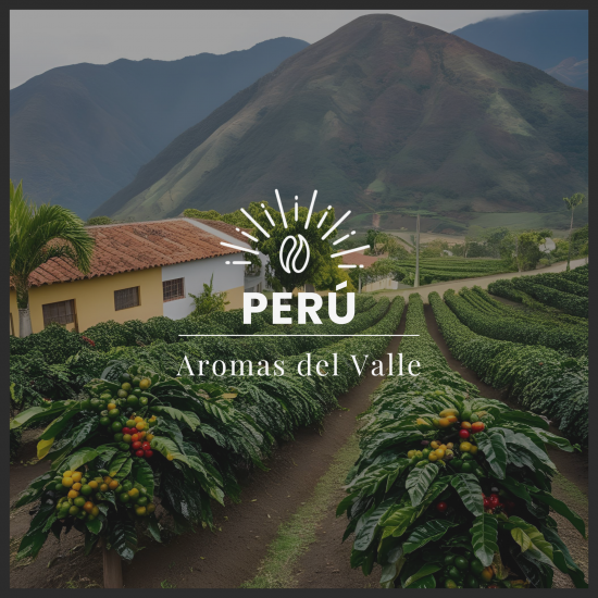 AROMAS DEL VALLE - PERÚ