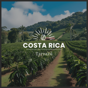 TARRAZÚ - COSTA RICA