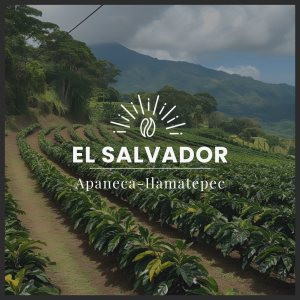 APANECA - EL SALVADOR