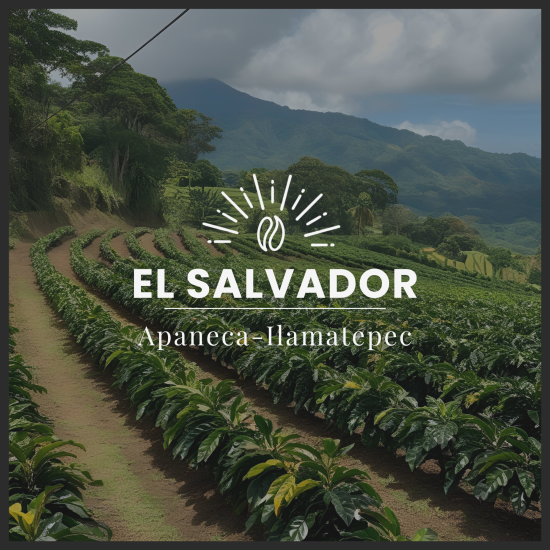APANECA - EL SALVADOR