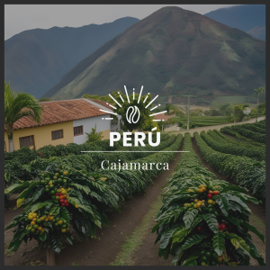 CAJAMARCA - PERÚ