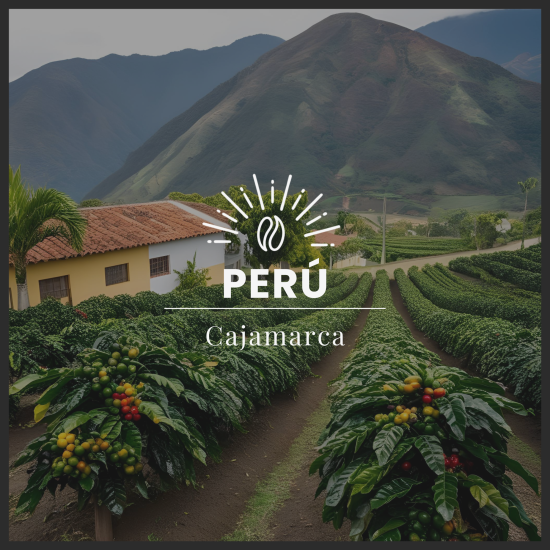CAJAMARCA - PERÚ