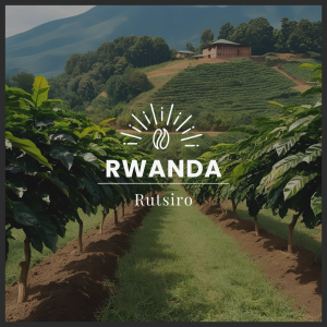 RUTSIRO - RWANDA